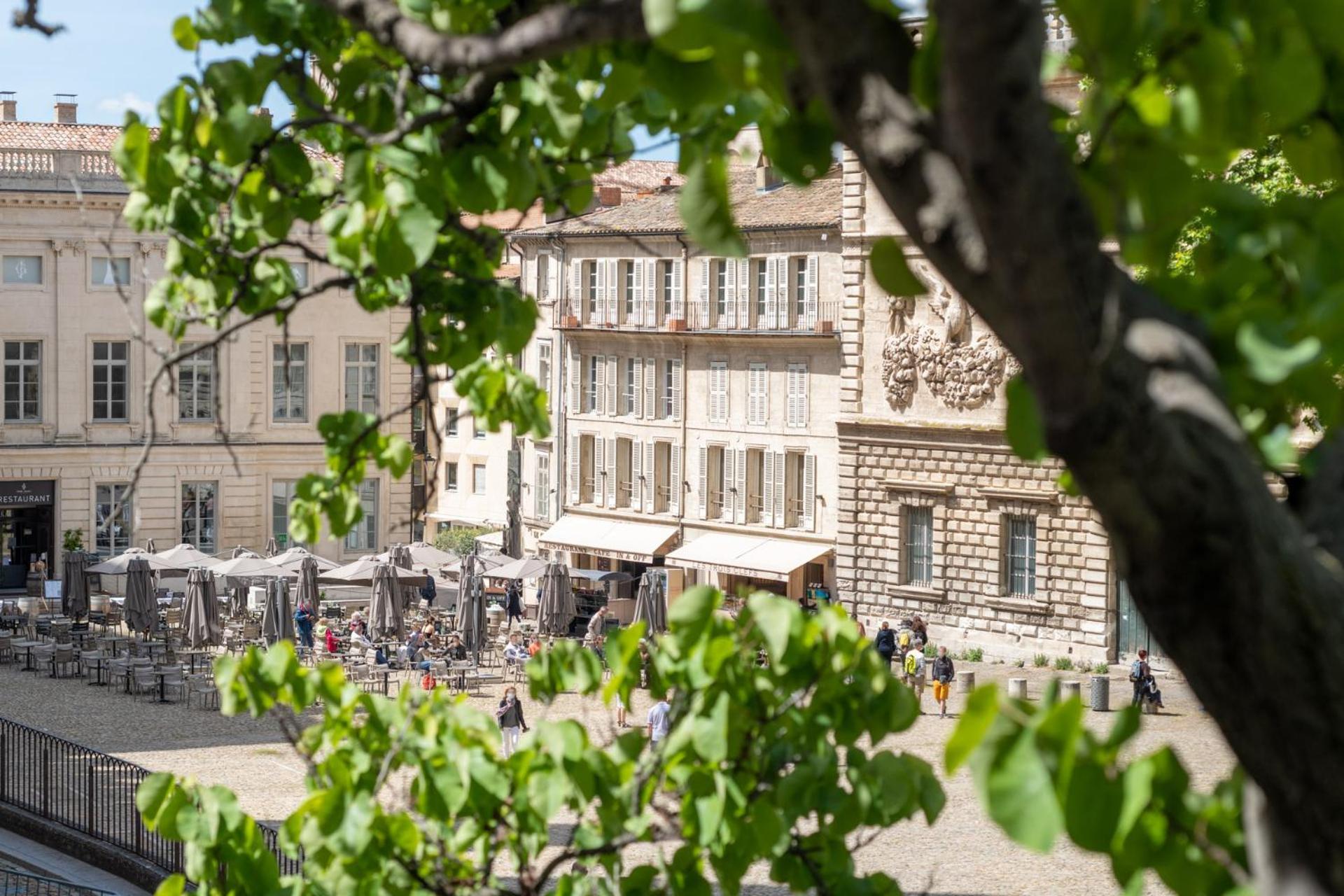 Bien D'Exception En Face Du Palais Des Papes Apartment Avignon Ngoại thất bức ảnh